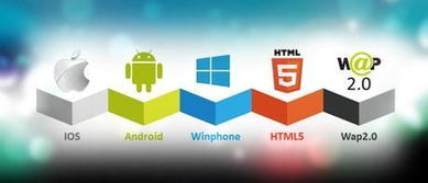 運(yùn)營(yíng)軟件 app定制開發(fā)